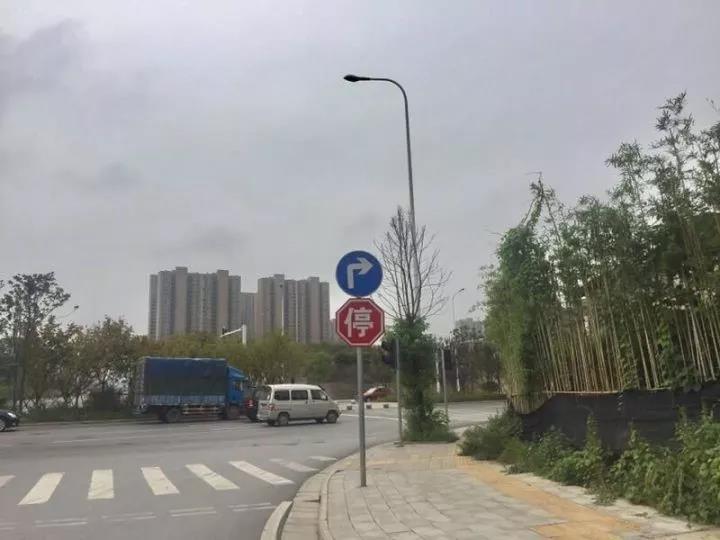 长沙张公岭分考场科目三考试线路中的停车让行标志